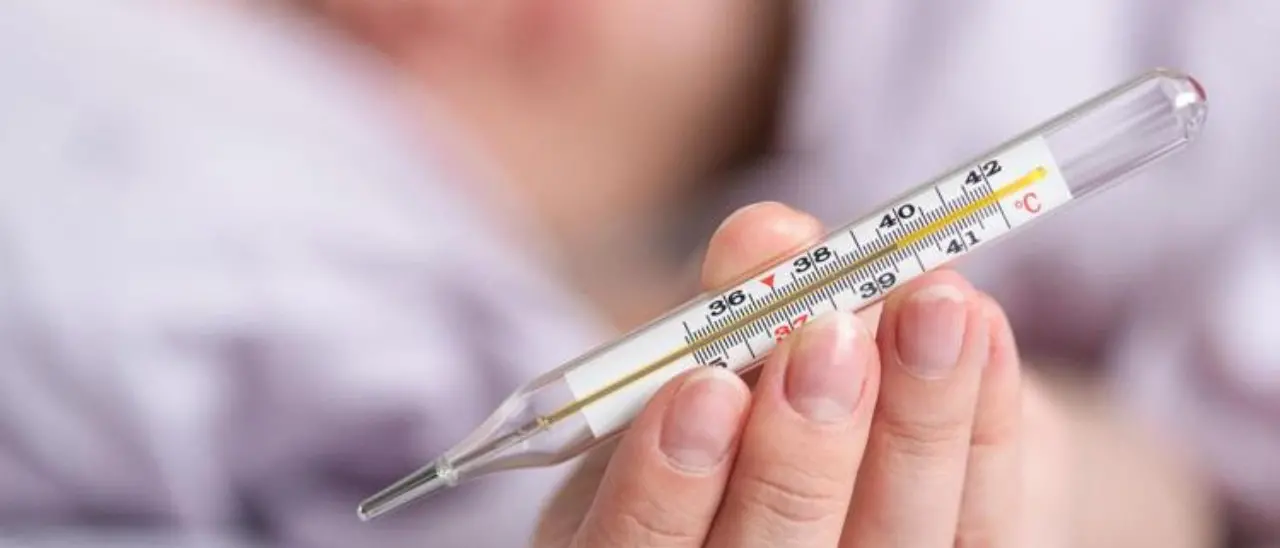 Calabria e influenza, non attivata la sorveglianza epidemiologica