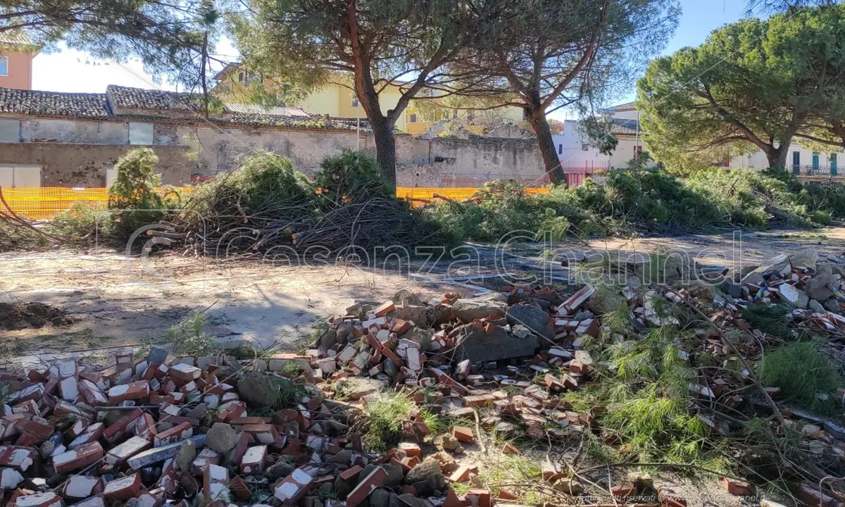 Corigliano Rossano: taglio degli alberi a Lido Sant'Angelo, la minoranza: «Verificare la legalità dei lavori»