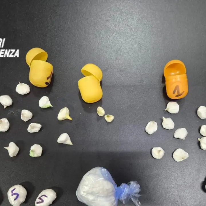 Blitz dei Carabinieri a Bonifati: sequestrati oltre 100 grammi di cocaina, due arresti