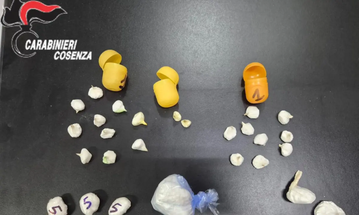 Blitz dei Carabinieri a Bonifati: sequestrati oltre 100 grammi di cocaina, due arresti