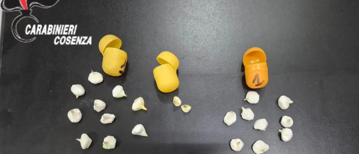 Blitz dei Carabinieri a Bonifati: sequestrati oltre 100 grammi di cocaina, due arresti