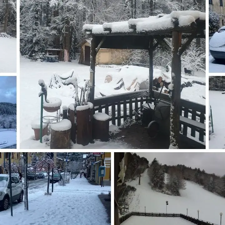 Che meraviglia la Sila imbiancata. Ecco le previsioni per le prossime ore | FOTO