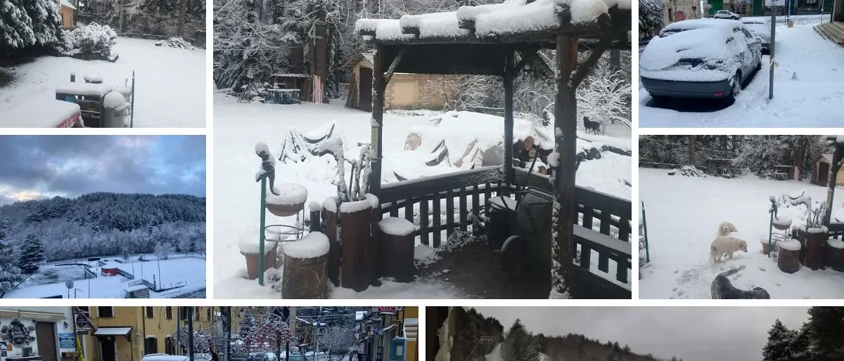 Che meraviglia la Sila imbiancata. Ecco le previsioni per le prossime ore | FOTO