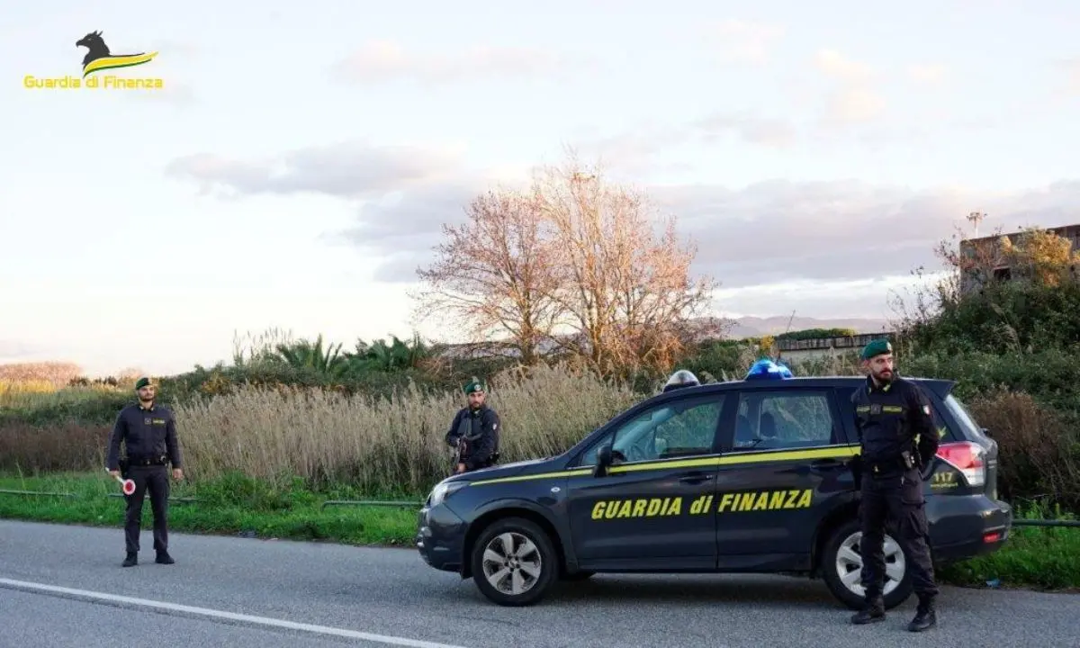 Scoperte quattro piantagioni di canapa indiana a Fabrizia