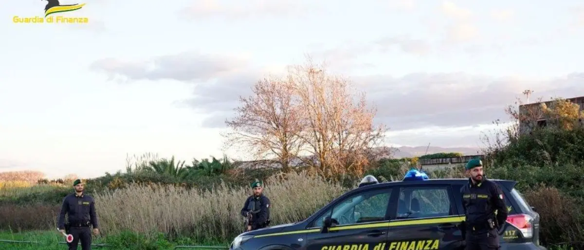 Scoperte quattro piantagioni di canapa indiana a Fabrizia