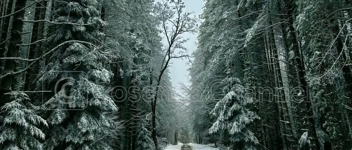 La neve imbianca la Sila e il Pollino e oggi qualche fiocco può arrivare a Cosenza