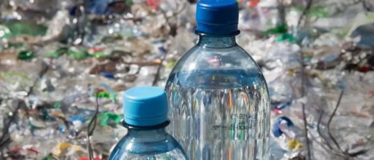 Casali del Manco elimina le bottiglie di plastiche dalle scuole. Introdotti innovati erogatori di acqua