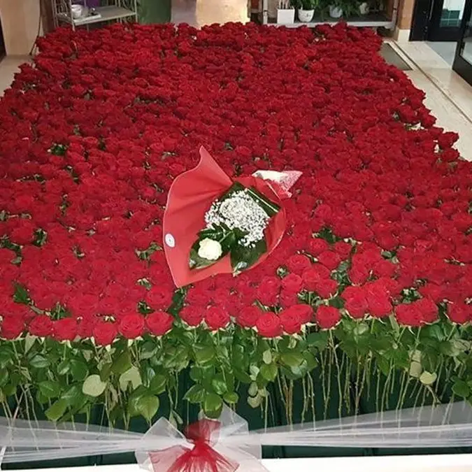 2025 rose rosse, a Brindisi il \"Buon anno\" più romantico che ci sia