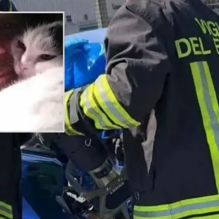 Due vittime sulla Napoli-Roma, uno è il 53enne di Corigliano Rossano Antonio De Simone