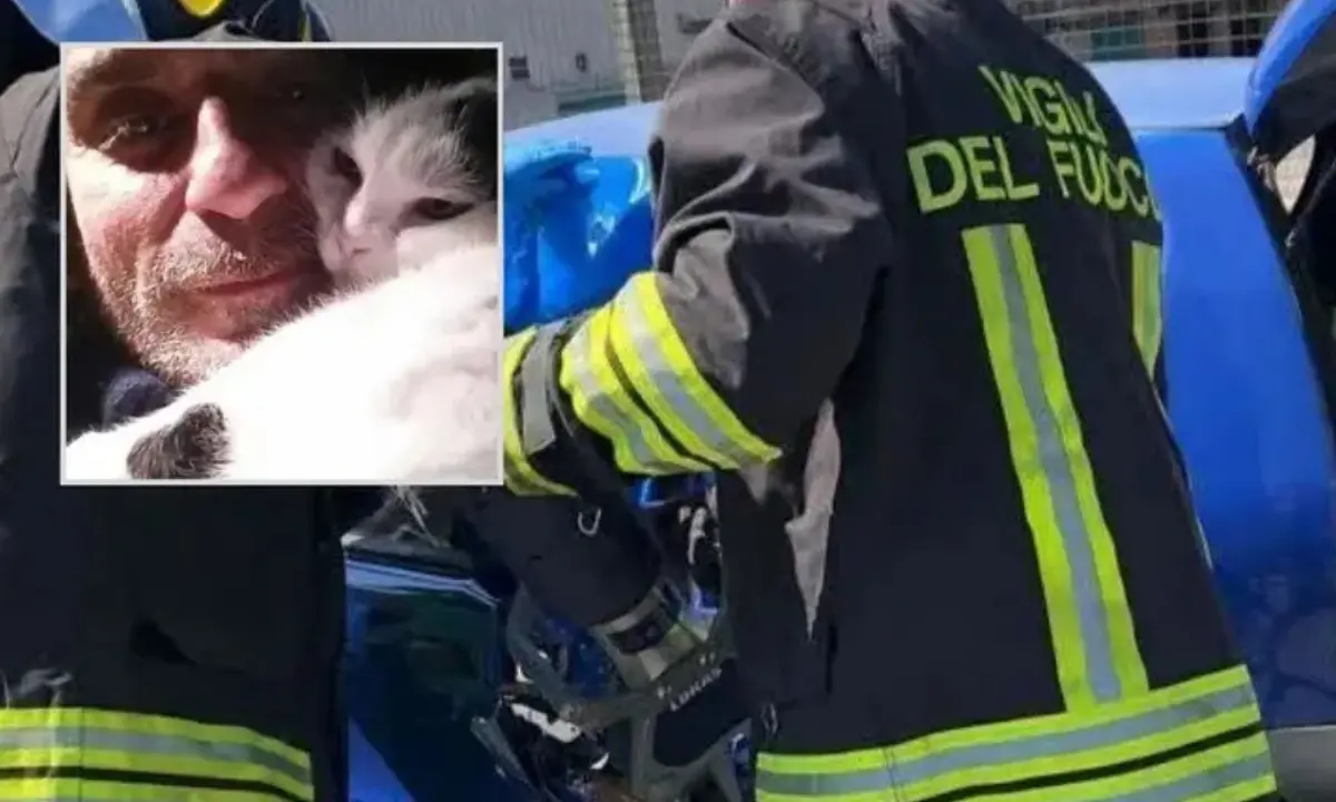 Due vittime sulla Napoli-Roma, uno è il 53enne di Corigliano Rossano Antonio De Simone