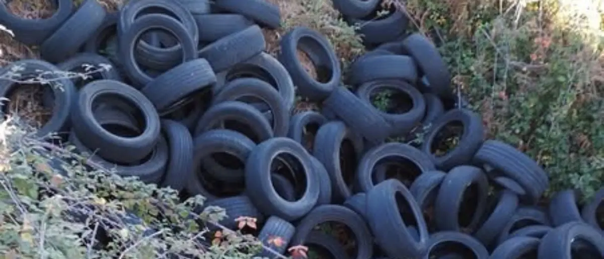 Legambiente: «Pneumatici abbandonati, fenomeno fuori controllo nel Cosentino» | FOTO