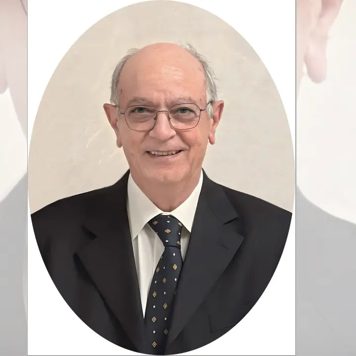 Morte di Vincenzo Palmieri, chiesto rinvio a giudizio per l'automobilista accusato di omicidio stradale