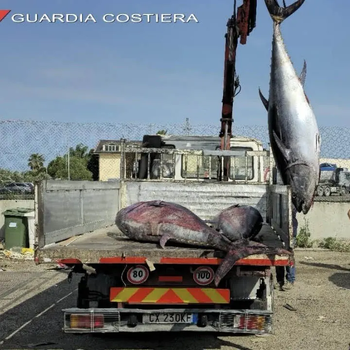 Corigliano Rossano, oltre 6 tonnellate di prodotti ittici sequestrati
