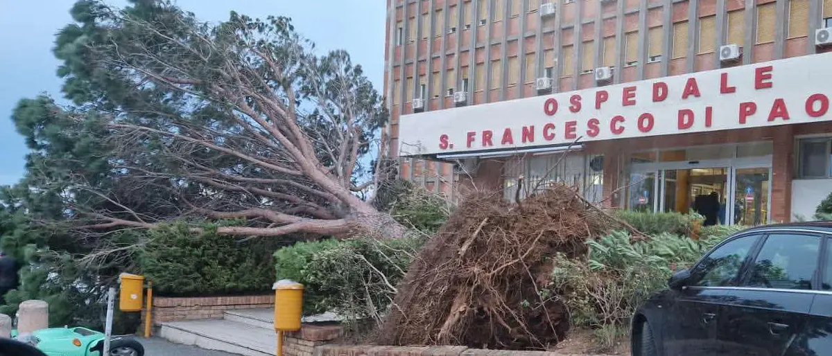 Paola piegata dal maltempo, un albero si abbatte sull'ingresso dell'ospedale | FOTO