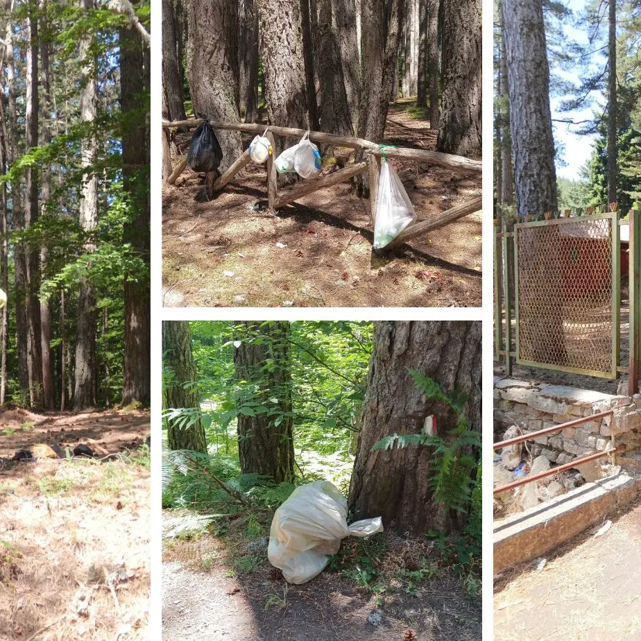 Rifiuti abbandonati in Sila, l’appello delle guide del Parco ai visitatori:\u00A0«Portate via la vostra spazzatura»\n