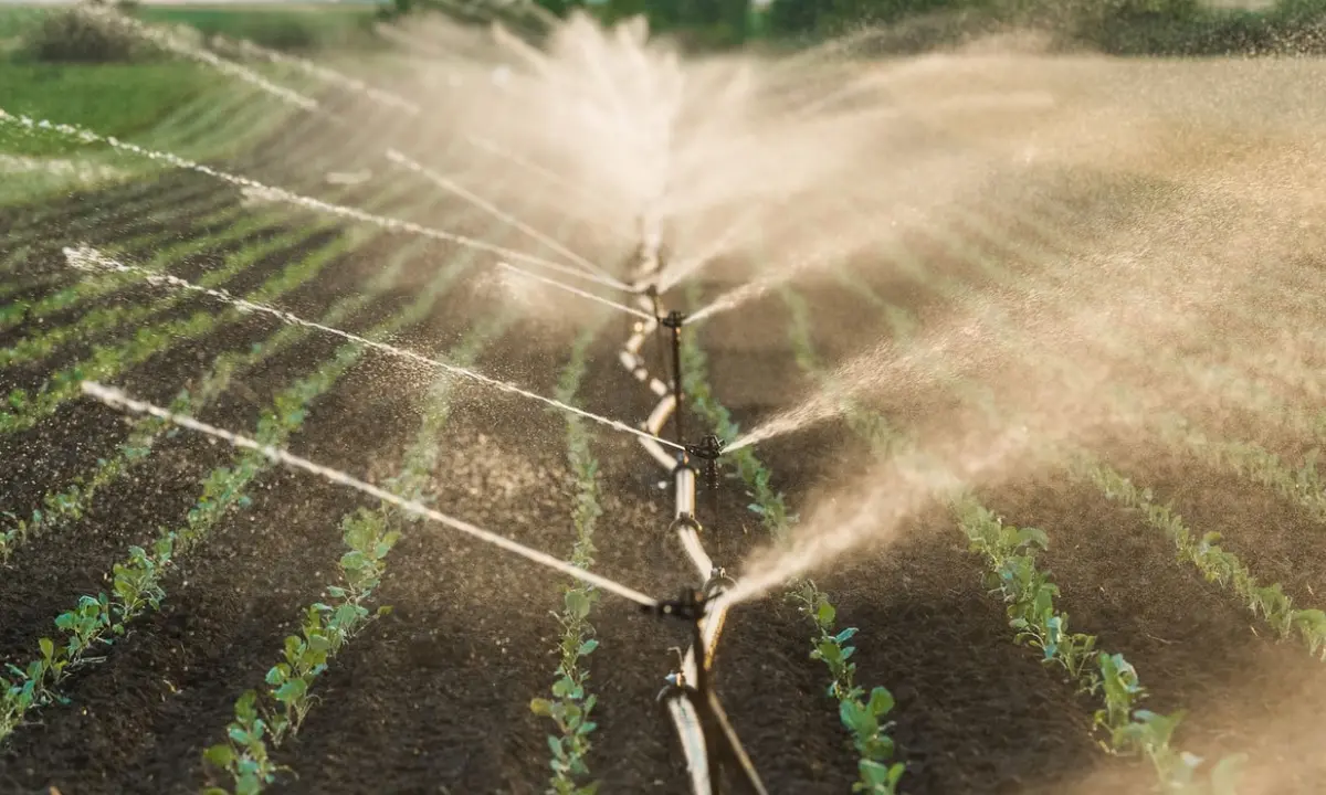 Arrivano i contatori per l’acqua usata in agricoltura, poi lotta alla perdita delle reti idriche