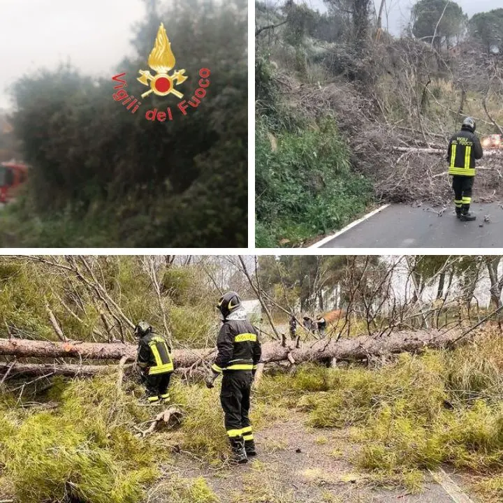 Maltempo in Calabria: frane, alberi caduti e strade interrotte: tutti gli interventi dei pompieri