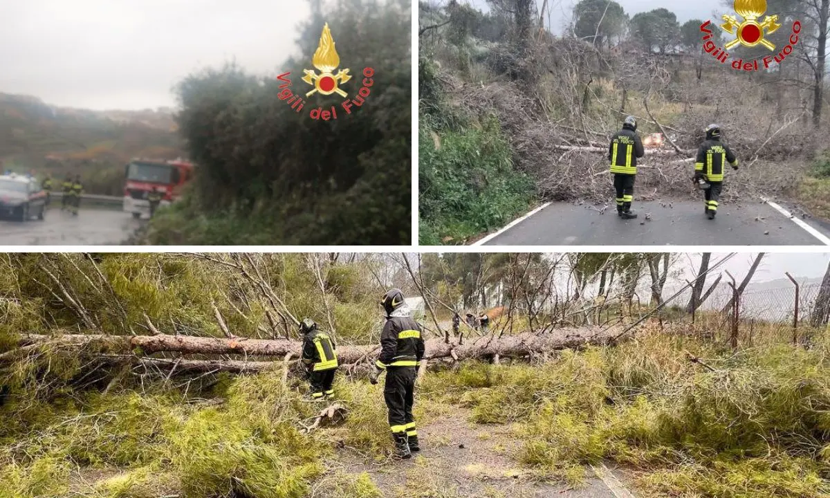 Maltempo in Calabria: frane, alberi caduti e strade interrotte: tutti gli interventi dei pompieri