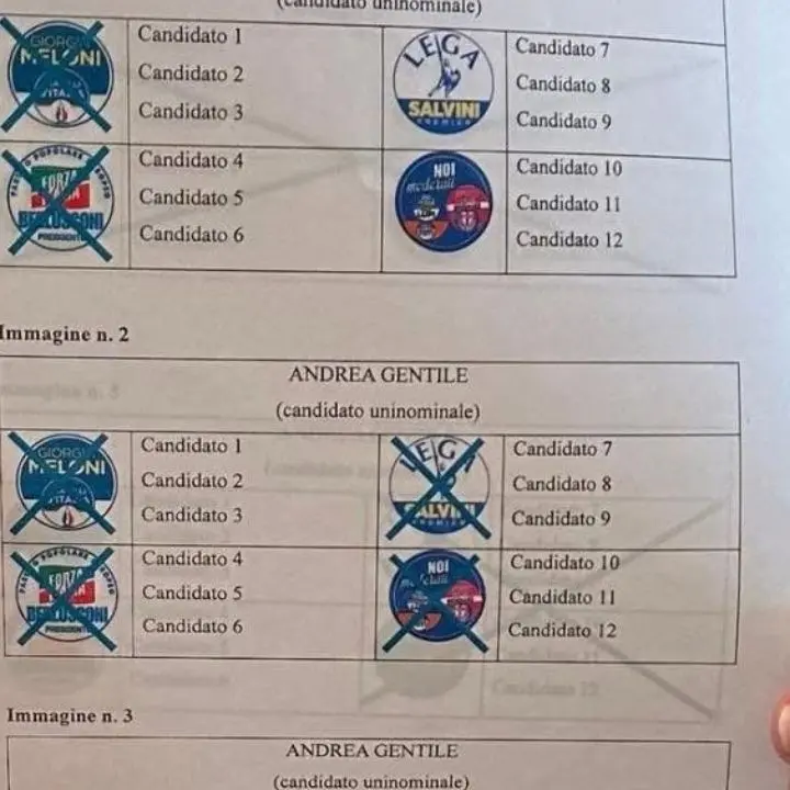 Anna Laura Orrico sull'elezione di Andrea Gentile in Parlamento: «Compromesso il voto dei calabresi»