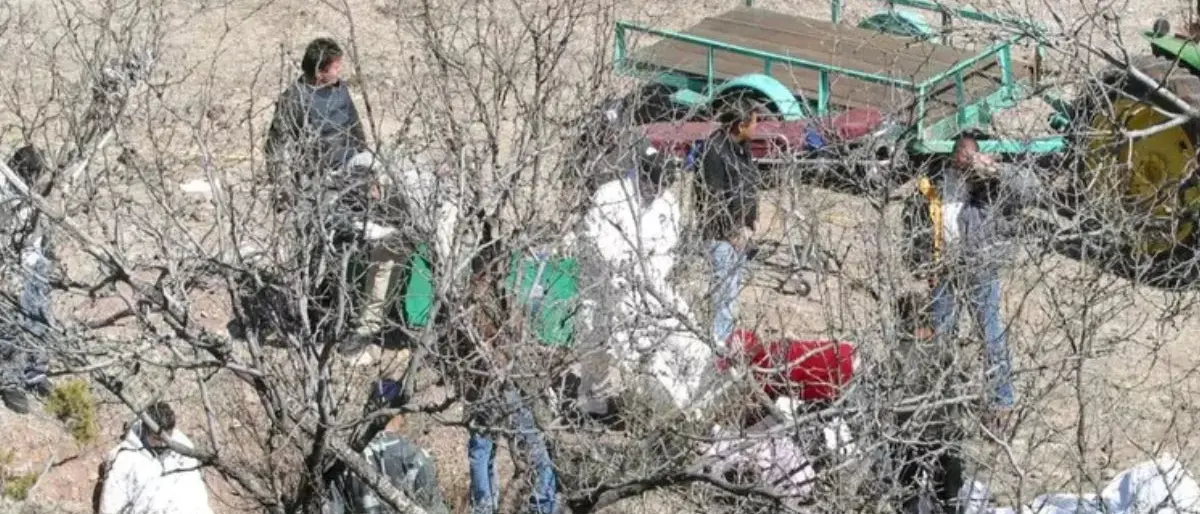 Corpi smembrati in una fossa comune, macabro ritrovamento in Messico