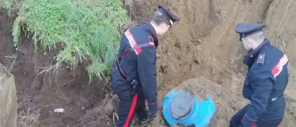 Droga e armi da guerre rinvenute in un'azienda agricola nel Reggino