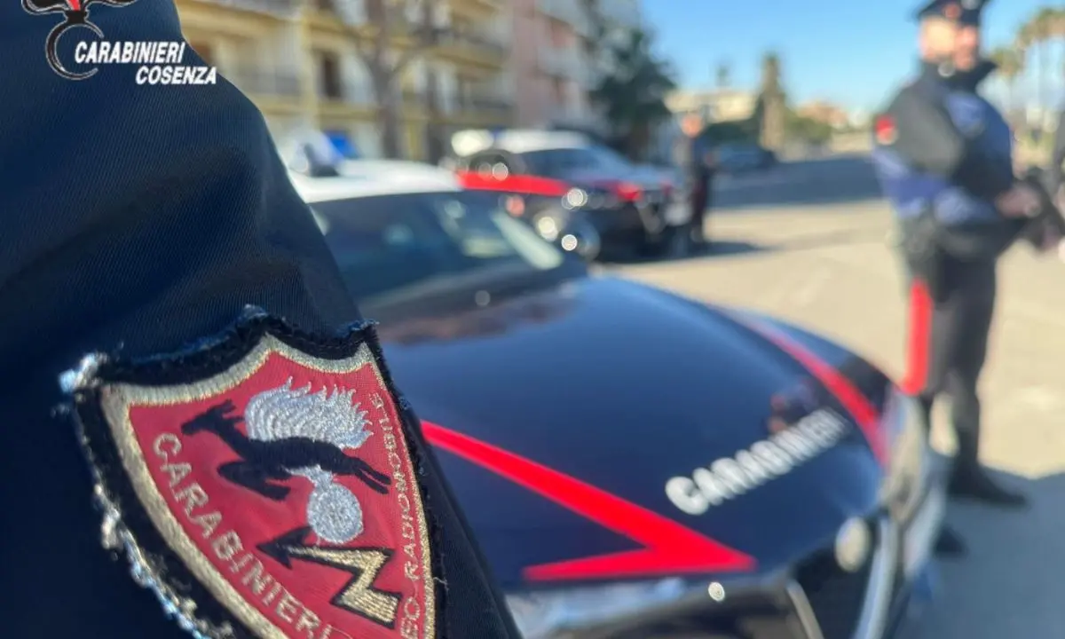 Furti nelle ville del Cosentino, il blitz a Thurio che ha sgominato la banda