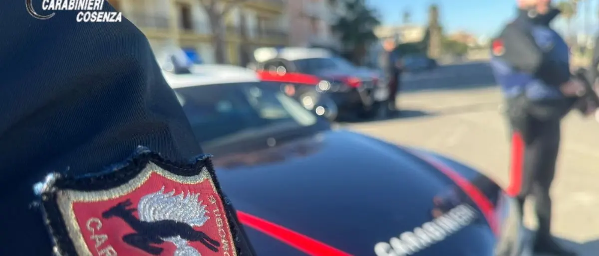 Furti nelle ville del Cosentino, il blitz a Thurio che ha sgominato la banda