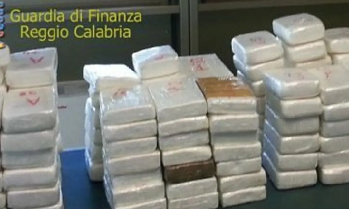 Cocaina come se non ci fosse un domani, maxi sequestro al porto di Gioia Tauro