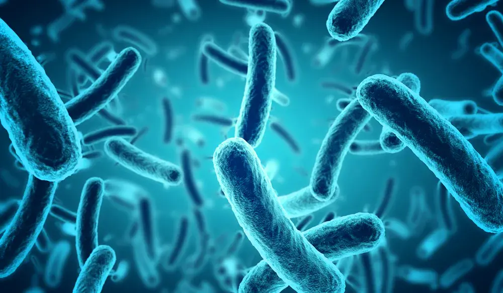 Tragedia alle Canarie: 70enne britannico muore di salmonella durante le vacanze
