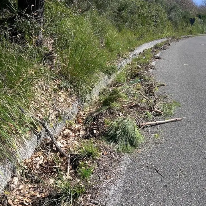 La Strada provinciale 9 è pericolosa, l'appello di Idm Scalea