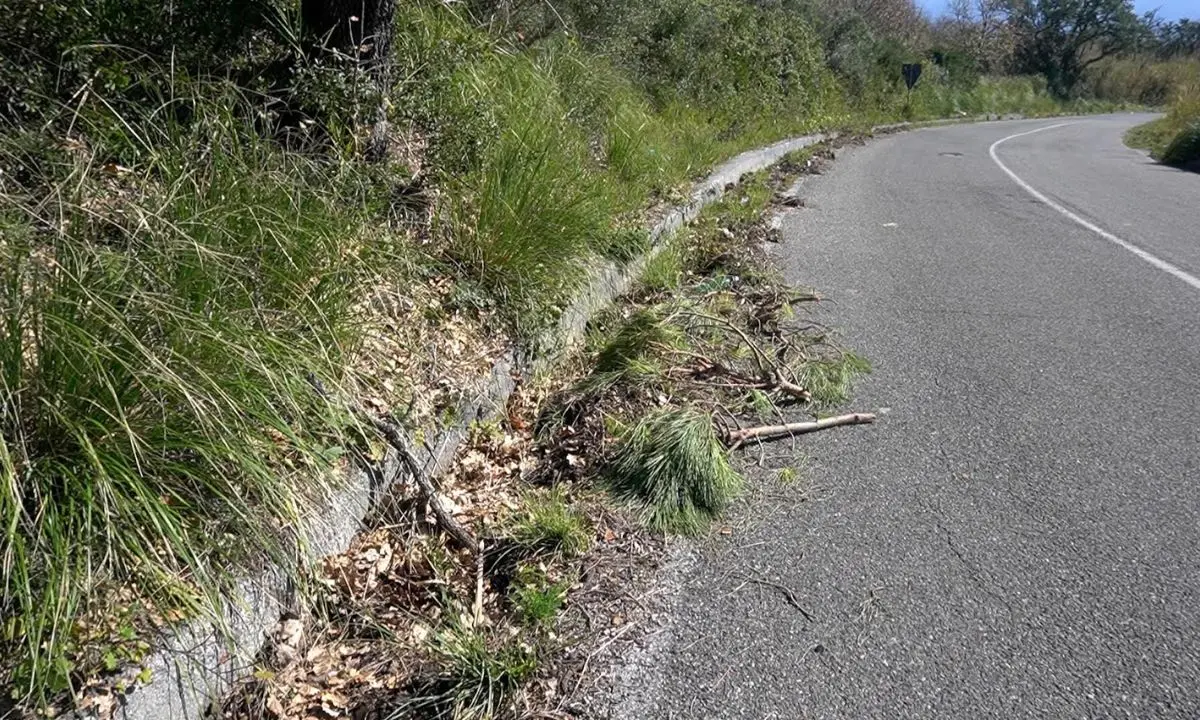 La Strada provinciale 9 è pericolosa, l'appello di Idm Scalea