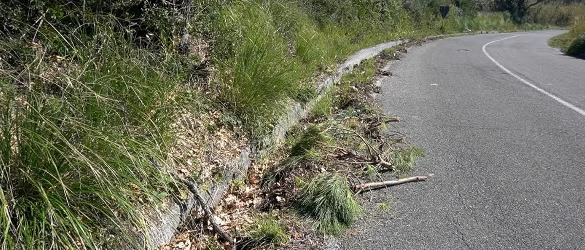 La Strada provinciale 9 è pericolosa, l'appello di Idm Scalea
