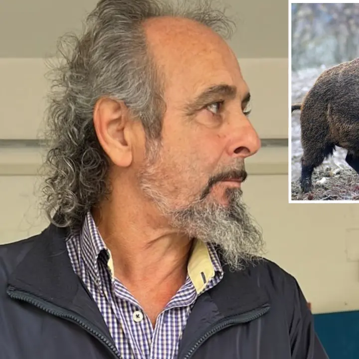 Cetraro, cattura un cinghiale e resta ucciso dall’animale