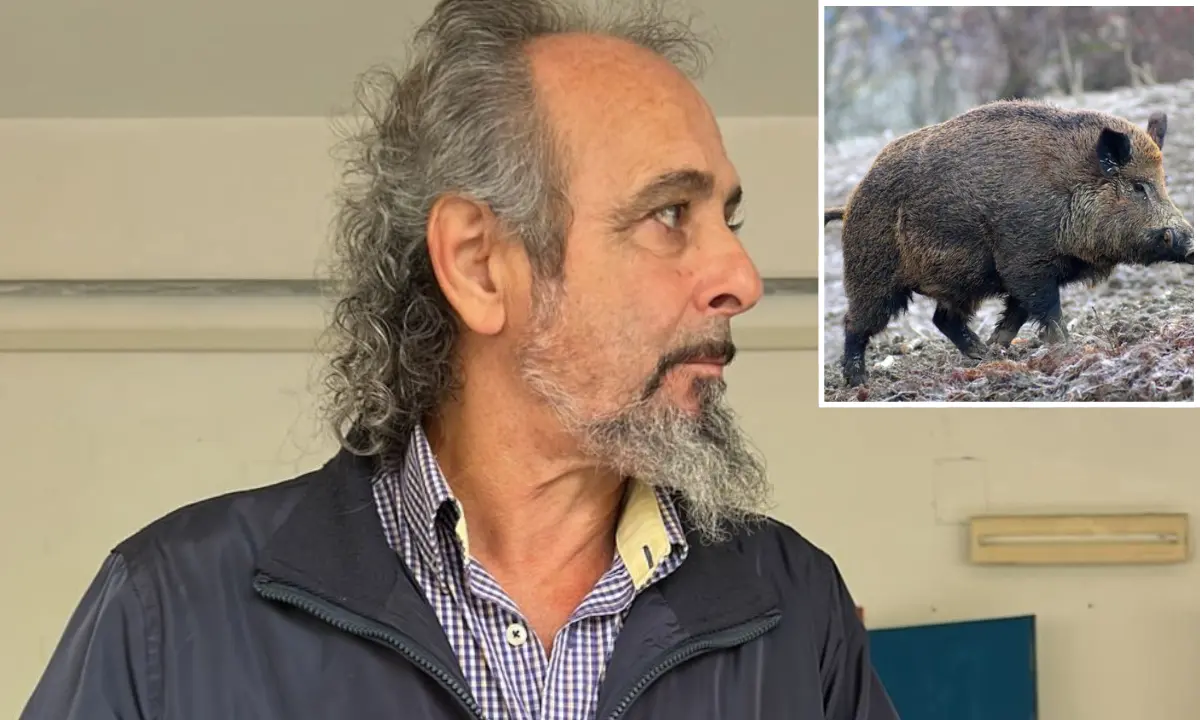Cetraro, cattura un cinghiale e resta ucciso dall’animale