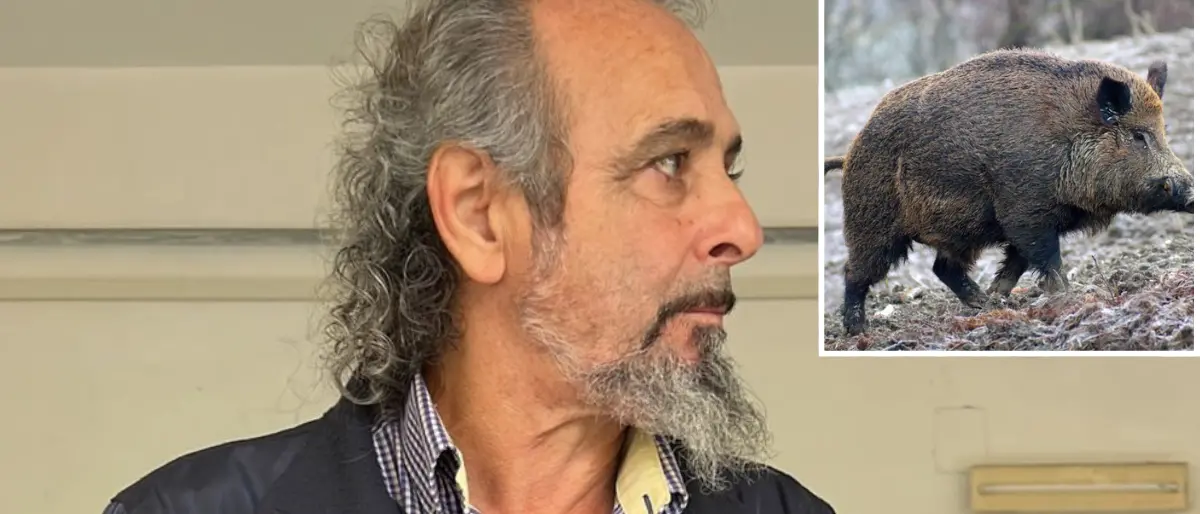 Cetraro, cattura un cinghiale e resta ucciso dall’animale