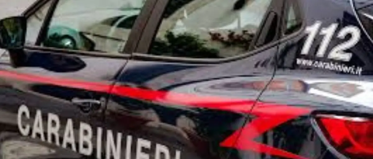 Mitra sepolto in un terreno, un arresto a Castrolibero