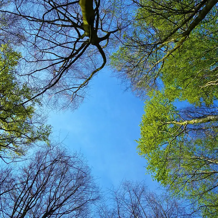 Meteo Cosenza, dopo 40 giorni di piogge e mareggiate ecco il cielo sereno\n