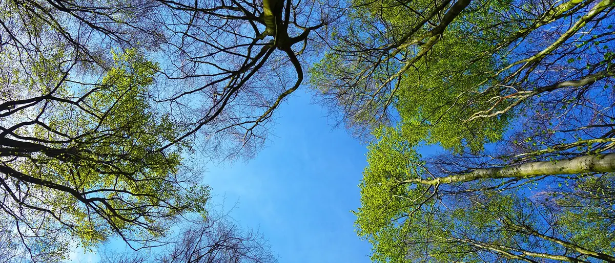 Meteo Cosenza, sensibile miglioramento e sole per tutto il ponte del Primo maggio