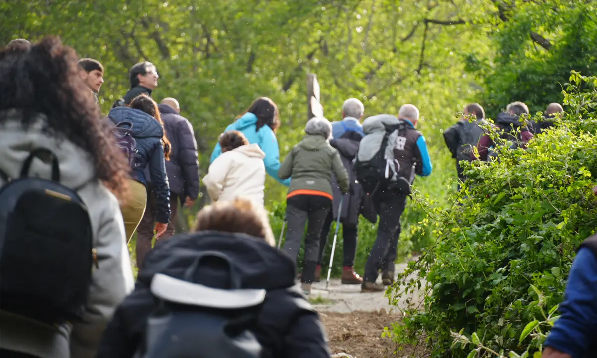 Camigliatello Silano, con la Festa della foresta un’immersione nel benessere del Parco