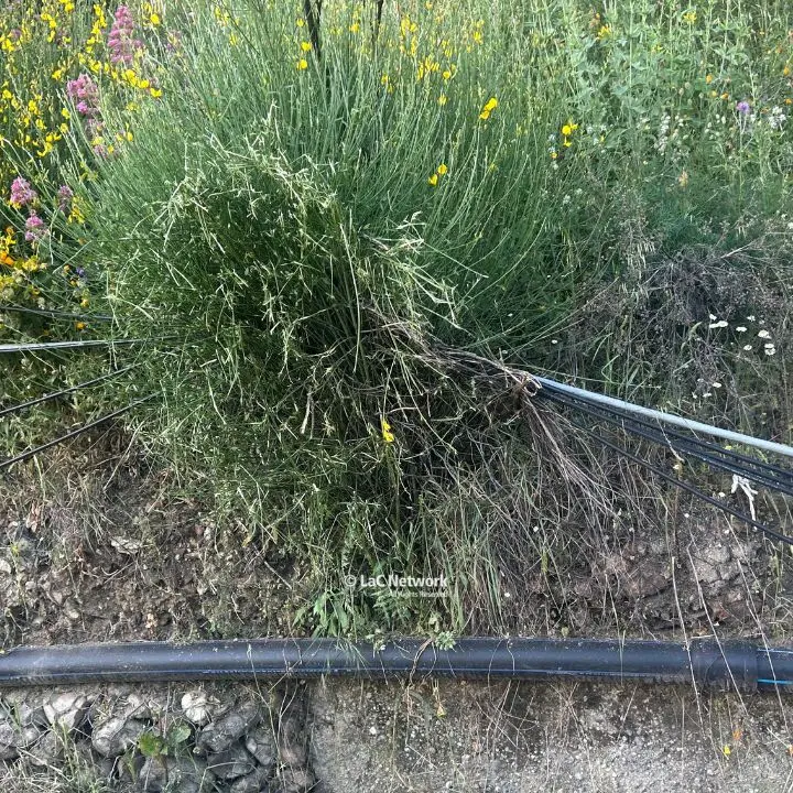Acri, al via i lavori per il ripristino della fibra ottica dopo il blackout delle comunicazioni