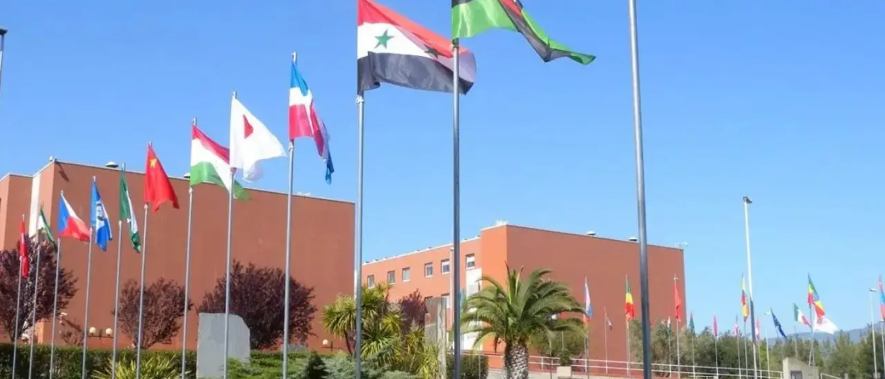 Unical, due nuove call internazionali per attrarre studiosi e ricercatori d’eccellenza