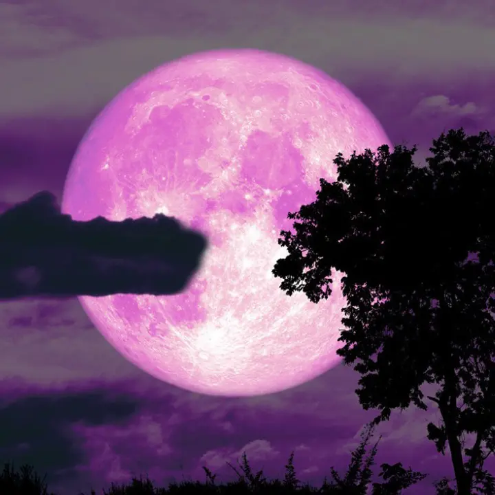 Luna delle fragole, stanotte lo spettacolo del plenilunio del mese di giugno