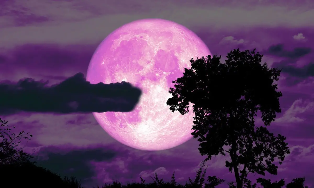 Luna delle fragole, stanotte lo spettacolo del plenilunio del mese di giugno