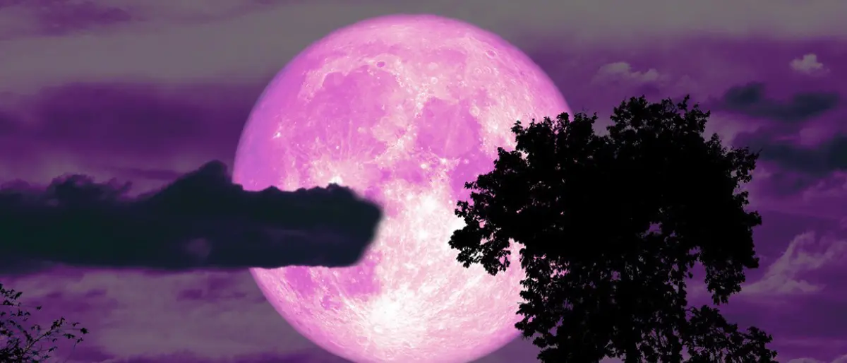 Luna delle fragole, stanotte lo spettacolo del plenilunio del mese di giugno