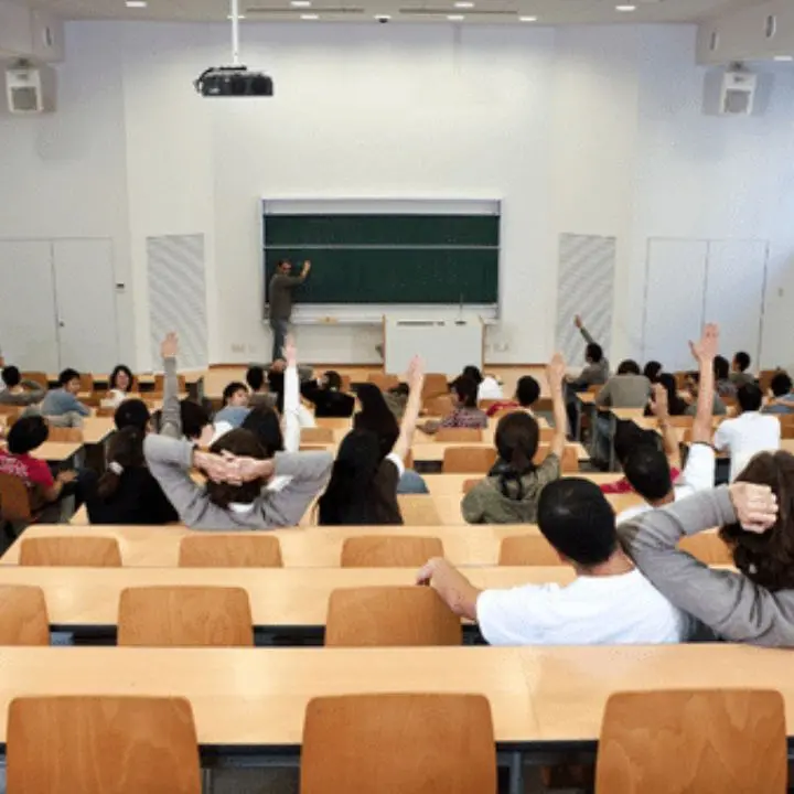 Unical, gli studenti del percorso abilitante 30 CFU: «Fateci sostenere l'esame»