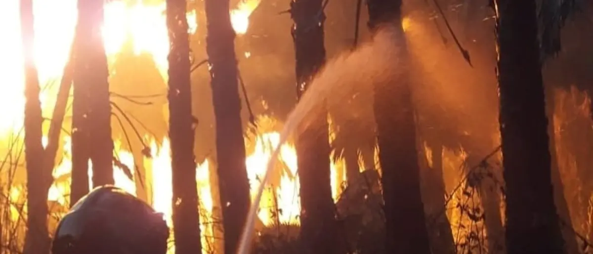 La Calabria brucia ma è senza Vigili del Fuoco: emergenza organico in tutta la regione