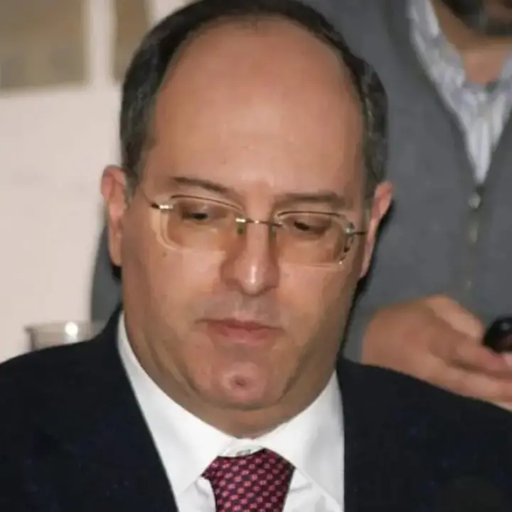 Unical, il prof Roberto Gaudio insignito del prestigioso \"IAHR Fellow Award\"