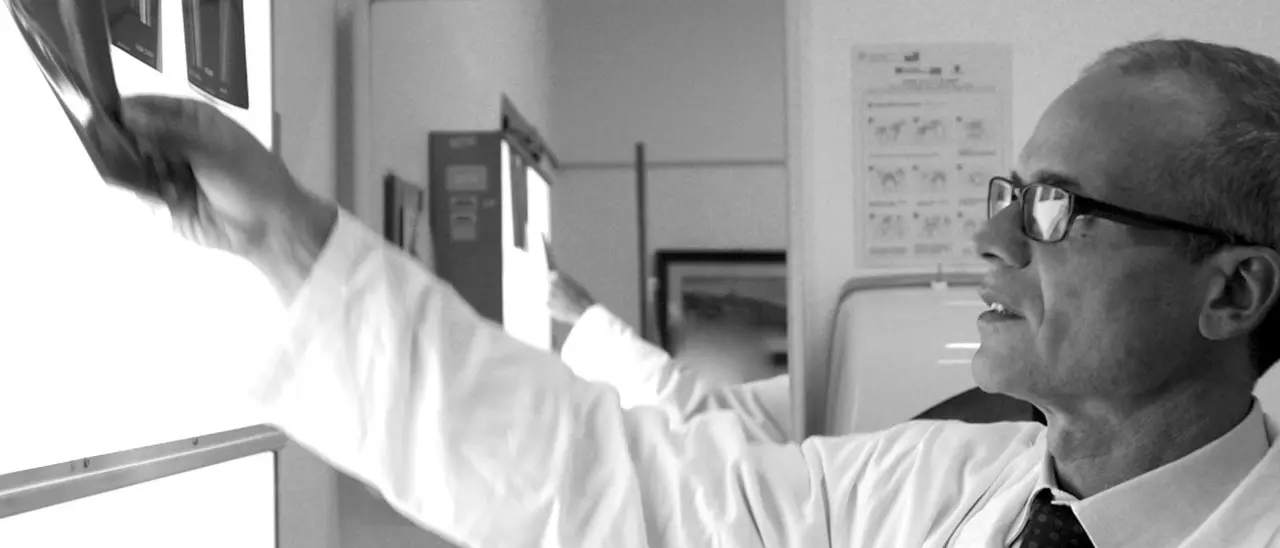 Unical e AO Cosenza, che colpo: arriva Iacono dall’Humanitas di Milano