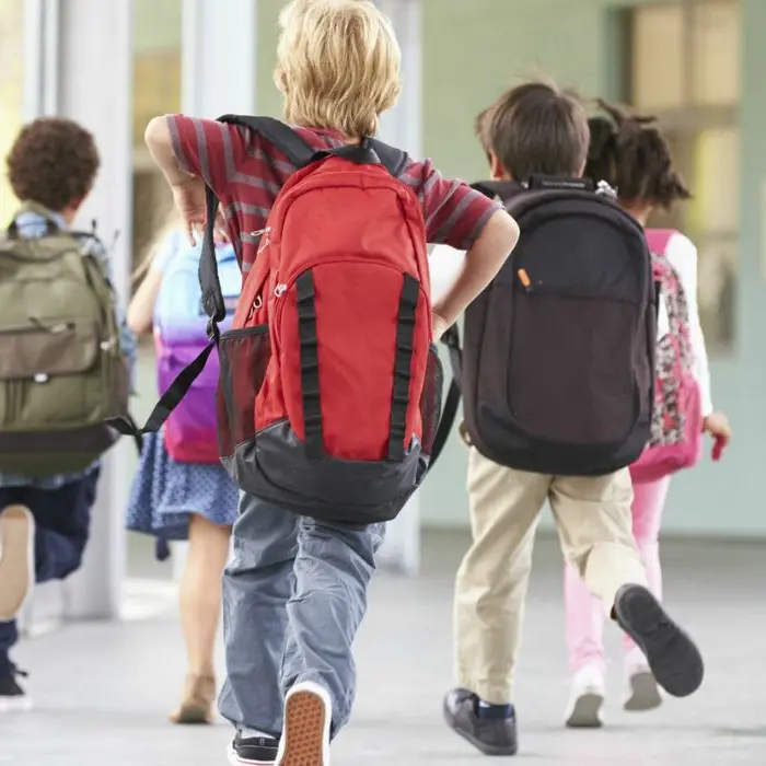 L'iniziativa di Occhiuto sullo psicologo scolastico: mozione bipartisan a Palazzo dei Bruzi