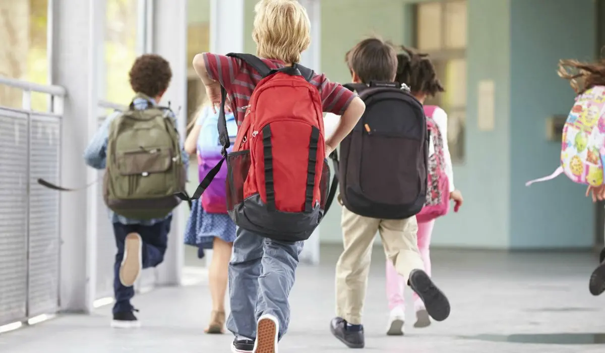 L'iniziativa di Occhiuto sullo psicologo scolastico: mozione bipartisan a Palazzo dei Bruzi